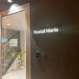 Hostal Maria Hotel Elche Exterior photo