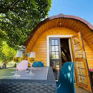 The Gold Pod, Relax And Enjoy On A Glamping House Guest House Corredoura Exterior photo