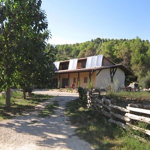 Mas La Llum, La Casa De Palla Guest House Arens de Lledo Exterior photo