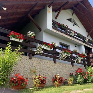 Casa Maria Hotel Piatra Fantanele Exterior photo