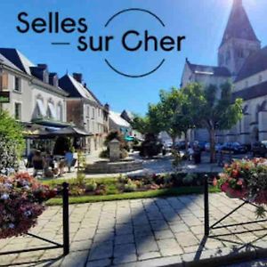 Demeure De Miseray Coeur De Sologne Selles-sur-Cher Exterior photo