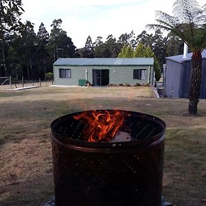 Cabin In The Tasmanian Bush - Tranquility! Apartment Pipers River Exterior photo