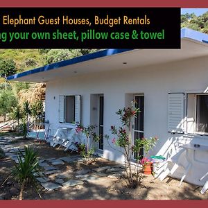 Elephant Guest Houses Evdilos  Exterior photo