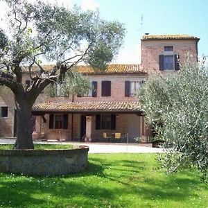 Ferienwohnung Solebello Mulberry In Morro D'Alba Exterior photo