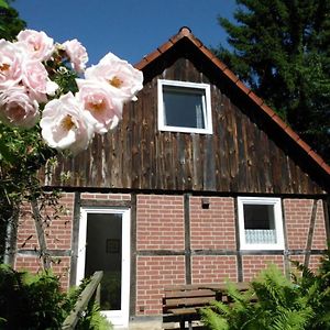 Holiday Home Wollspeicher Godenstorf Exterior photo