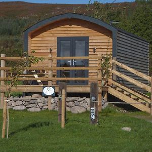 The Red Kite - 2 Person Pet Friendly Glamping Cabin Villa Dungarvan  Exterior photo