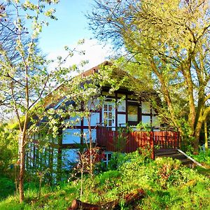 Natururlaub Frankenau Apartment Exterior photo