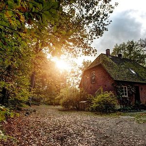 Gut Thansen Forsthaus Apartment Soderstorf Exterior photo