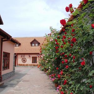 Pension Ela Hotel Sibiu Exterior photo