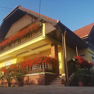 Zsuzsi Vendeghaz Hotel Zalaegerszeg Exterior photo