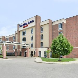 Springhill Suites By Marriott Detroit Metro Airport Romulus Exterior photo