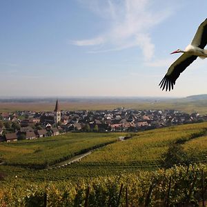 Les Chambres Du Vignoble Ammerschwihr Exterior photo