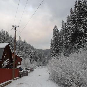 Садиба Бункер Чан Hotel Mizhhirya  Exterior photo