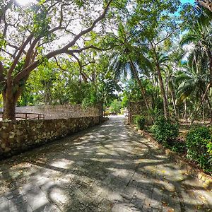 The Mayan Garden Orange Walk Town Exterior photo