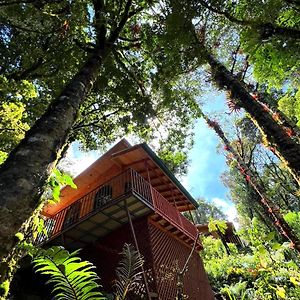 Cabana Anturios Hotel San Jose  Exterior photo