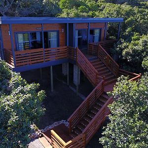 Treetop Guesthouse Port Elizabeth Exterior photo