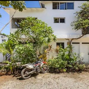 New Moringa Appartement Popy Las Terrenas Exterior photo