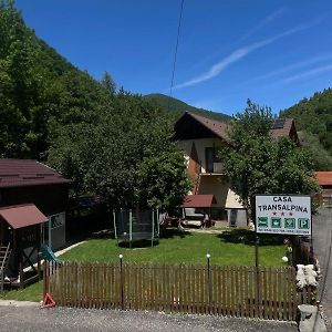 Pensiunea Casa Transalpina Sugag Exterior photo