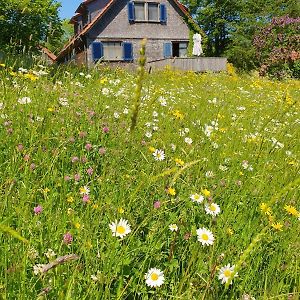 Rhoener Landhaus Mit Viel Flair Villa Gersfeld Exterior photo