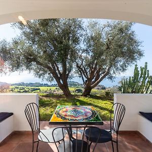 The Olive Tree - Seaview Apartments Capo Vaticano Exterior photo