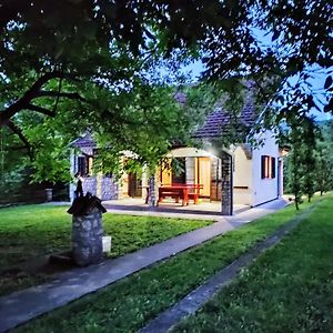 Gorska Vila Sisevac Villa Exterior photo