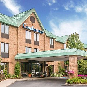 Comfort Inn Utica Exterior photo