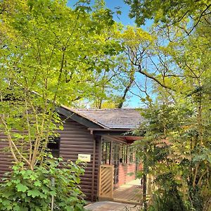 Shrew Lodge-Woodland Lodges-Hot Tub-Pembrokeshire-Tenby Carmarthen Exterior photo