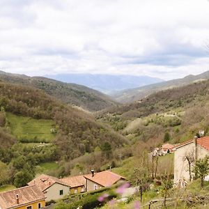 La Nozal - La Vallicuerra Alojamientos Rurales Mieres  Exterior photo