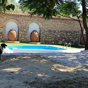 Cortijo San Rafael Villa Constantina Exterior photo