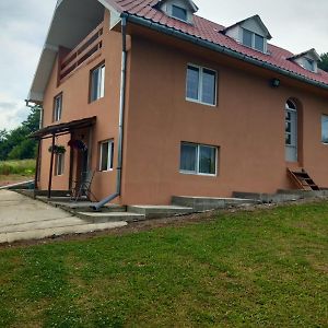 Teodora Andreea Villa Sighisoara Exterior photo