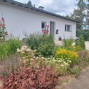 B&B Manderscheid-Blick Pantenburg Exterior photo