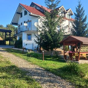 Pensiunea Iza Hotel Bradu  Exterior photo