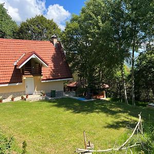 Mountain Vila In Ponikva Villa Kočani Exterior photo