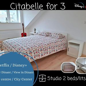 O Reflets - Citabelle For 3 - Studio 2 Beds View "Citadelle" Hotel Dinant Exterior photo