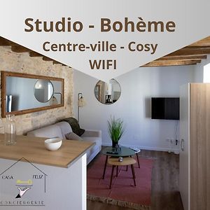 Studio Nature Boheme Apartment Montargis Exterior photo