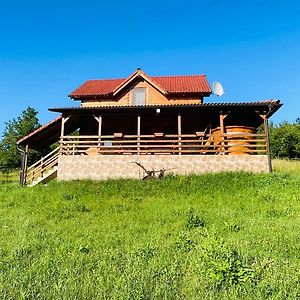 Cabana Rodnic Villa Labasint Exterior photo