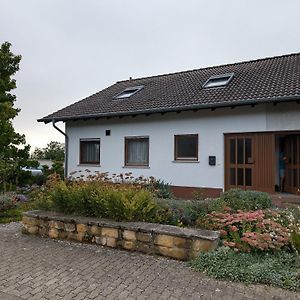 Pfaelzerdrachennest Apartment Neustadt an der Weinstrasse Exterior photo