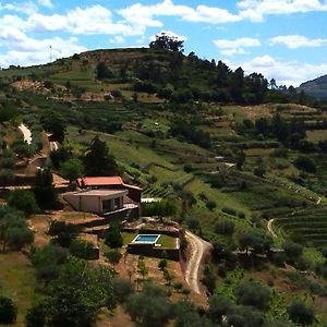 Quinta Da Lua Villa Douro Valley Vale de Mendiz Exterior photo