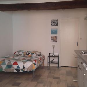 Promo 9-16Dec Toulouse 15Mn Studio Rdc Lit 140 Cm Cuisine Equipee Propre Apartment Montastruc-la-Conseillere Exterior photo