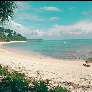 Mallick Palace Neil Island South Andaman Hotel Ram Nagar Exterior photo