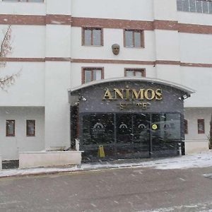 Animos Butik Otel Ankara Exterior photo