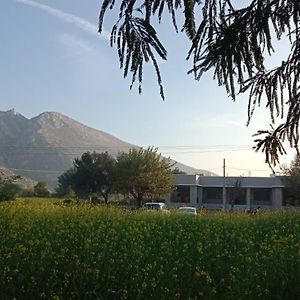 Sariska Nature Estate Hotel Thana Ghazi Exterior photo