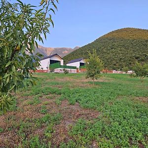 Modernvillagesheki House Verezet Exterior photo