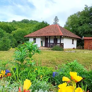 It-Hutorok Guest House Tur'ya Paseka Exterior photo