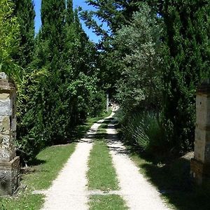 Casa Vacanze - Il Casettino Radicondoli Exterior photo