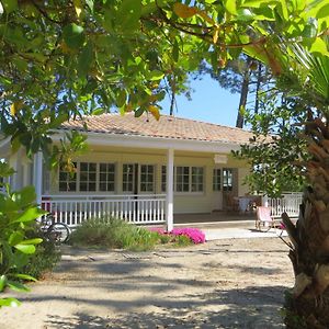 Belle Villa Caraibes Presqu'Ile Du Cap-Ferret Pres De L'Ocean Et Du Bassin Le Piquey Exterior photo