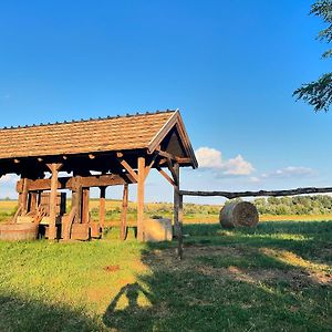 Buzal-Morocza Pinceszet Es Szallashely Bed & Breakfast Etyek Exterior photo