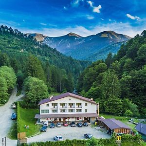 Poiana Neamtului Hotel Avrig Exterior photo