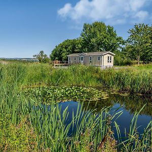 The Lodge At Newmeads Farm West Pennard Exterior photo