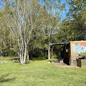 Cabin 1 Remote Cabin Next To Sam Houston National Forest Villa Huntsville Exterior photo